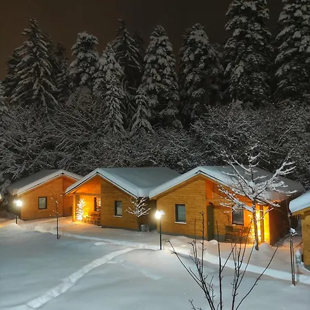 Iglika & 4* Boroveț
